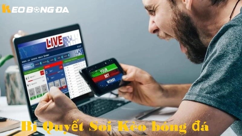 Bí quyết soi kèo bóng đá hiệu quả cho người mới bắt đầu