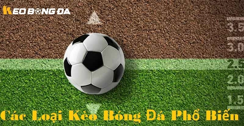 Các loại kèo bóng đá phổ biến nhất gần đây